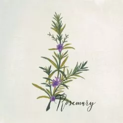 4-Piece Floral Canvas Wall Art Set, 10" -Cosplay Shop 4 piece floral canvas wall art set 10 2