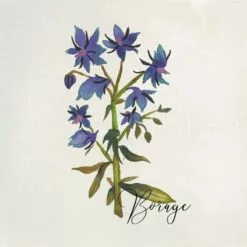 4-Piece Floral Canvas Wall Art Set, 10" -Cosplay Shop 4 piece floral canvas wall art set 10 5