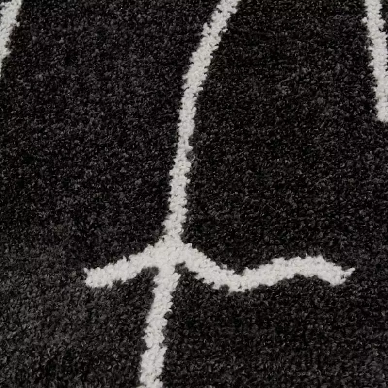 (D557) Mirabella Black Accent Rug, 2x4 6 (D557) Mirabella Black Accent Rug, 2x4 - Image 4