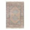(E336) Honeybloom Anna Vintage Medallion Fringe Outdoor Area Rug, 5x7 -Cosplay Shop e336 honeybloom anna vintage medallion fringe outdoor area rug 5x7 1
