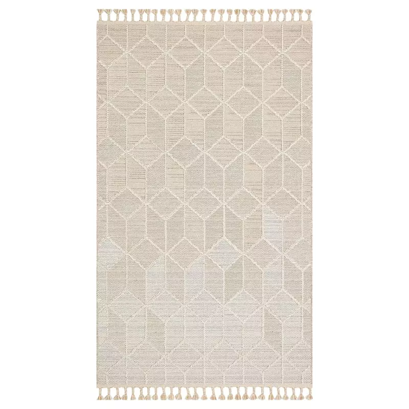(E465) Found & Fable Soho Beige Tasseled Area Rug, 5x7 3 (E465) Found & Fable Soho Beige Tasseled Area Rug, 5x7