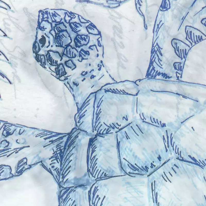 Framed Sea Turtle Wall Art, 12" 5 Framed Sea Turtle Wall Art, 12" - Image 3