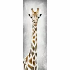 Geri The Giraffe Canvas Wall Art, 12x36