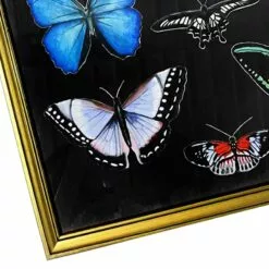 Glass Framed Butterfly Print Wall Art, 19x31 -Cosplay Shop glass framed butterfly print wall art 19x31 3