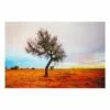 Hakea Tree Canvas Wall Art, 36x24 -Cosplay Shop hakea tree canvas wall art 36x24 1