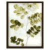 Honeybloom Glass Framed Natural & Green Stone Leaves Botanical Wall Art, 16x20 -Cosplay Shop honeybloom glass framed natural green stone leaves botanical wall art 16x20 1