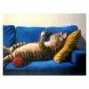 Lazy Sunday Canvas Wall Art, 16x12 1 Lazy Sunday Canvas Wall Art, 16x12 -Cosplay Shop lazy sunday canvas wall art 16x12 1