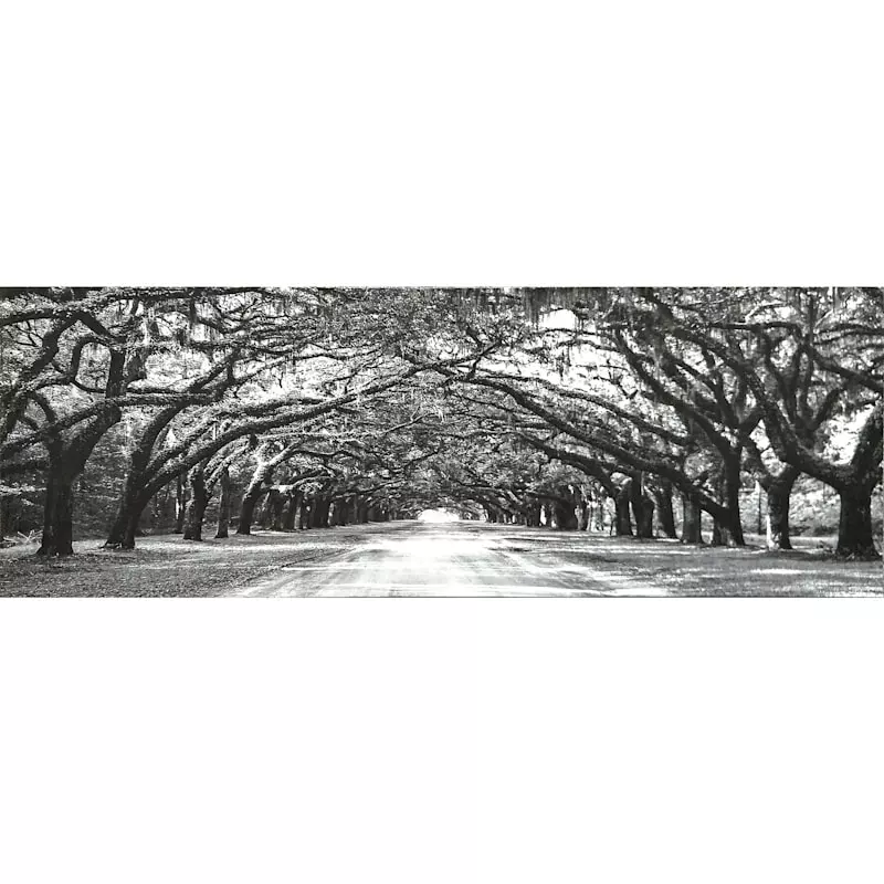 Oak Tree Path Canvas Wall Art, 60x20 3 Oak Tree Path Canvas Wall Art, 60x20