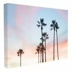 Palm Tree Canvas Wall Art, 16x20