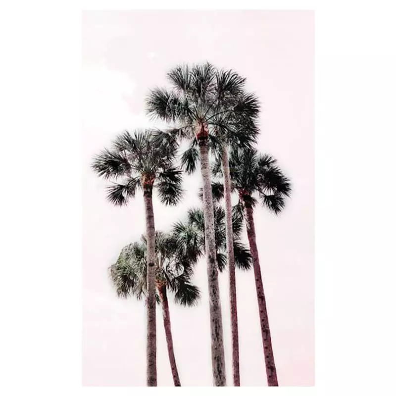 Pink Tropics Glass Coat Canvas Wall Art, 36x60 3 Pink Tropics Glass Coat Canvas Wall Art, 36x60