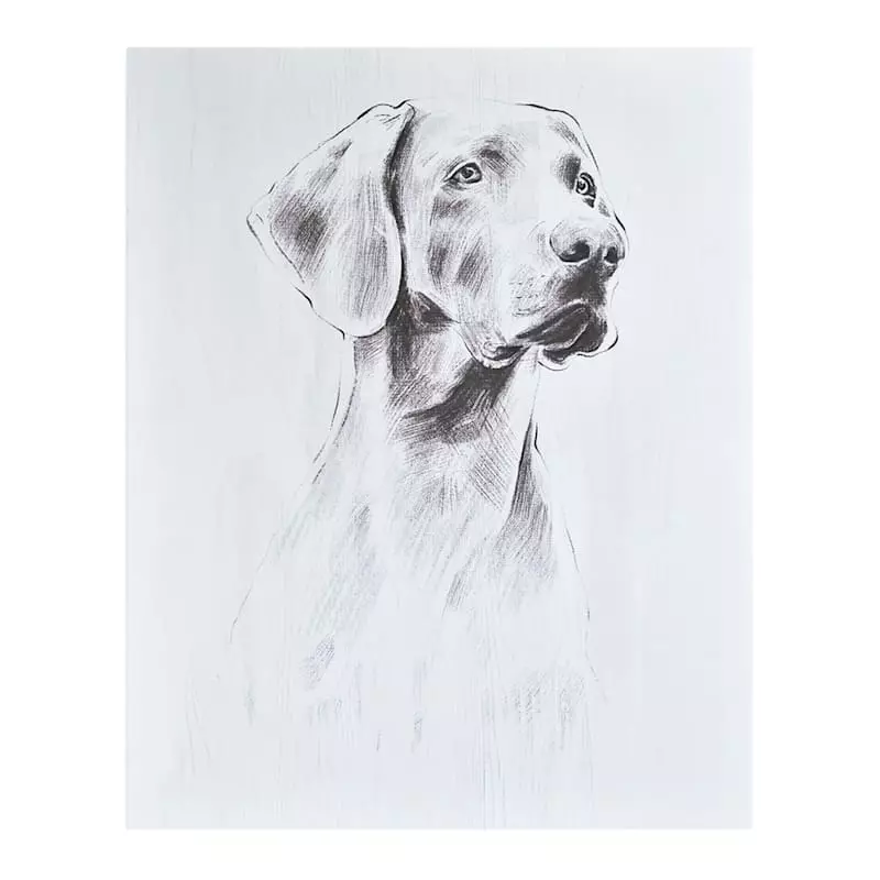 Providence Dog Canvas Wall Art, 11x14 3 Providence Dog Canvas Wall Art, 11x14