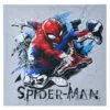 Spider-Man Canvas Wall Art, 12" -Cosplay Shop spider man canvas wall art 12