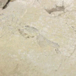 Tan Abstract Canvas Wall Art, 24x36 -Cosplay Shop tan abstract canvas wall art 24x36 5