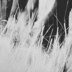 Ty Pennington Bison Grazing Canvas Wall Art, 12x36 -Cosplay Shop ty pennington bison grazing canvas wall art 12x36 3