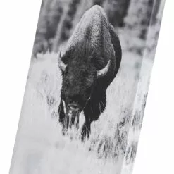 Ty Pennington Bison Grazing Canvas Wall Art, 12x36 -Cosplay Shop ty pennington bison grazing canvas wall art 12x36 7