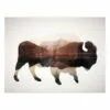 Ty Pennington Buffalo Canvas Wall Art, 16x12 2 Ty Pennington Buffalo Canvas Wall Art, 16x12 -Cosplay Shop ty pennington buffalo canvas wall art 16x12 1