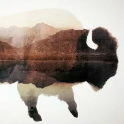 Ty Pennington Buffalo Canvas Wall Art, 16x12 -Cosplay Shop ty pennington buffalo canvas wall art 16x12 2