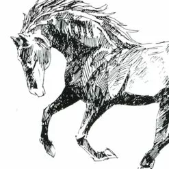 Cosplay Shop -Cosplay Shop ty pennington framed horse wall art 12x24 2