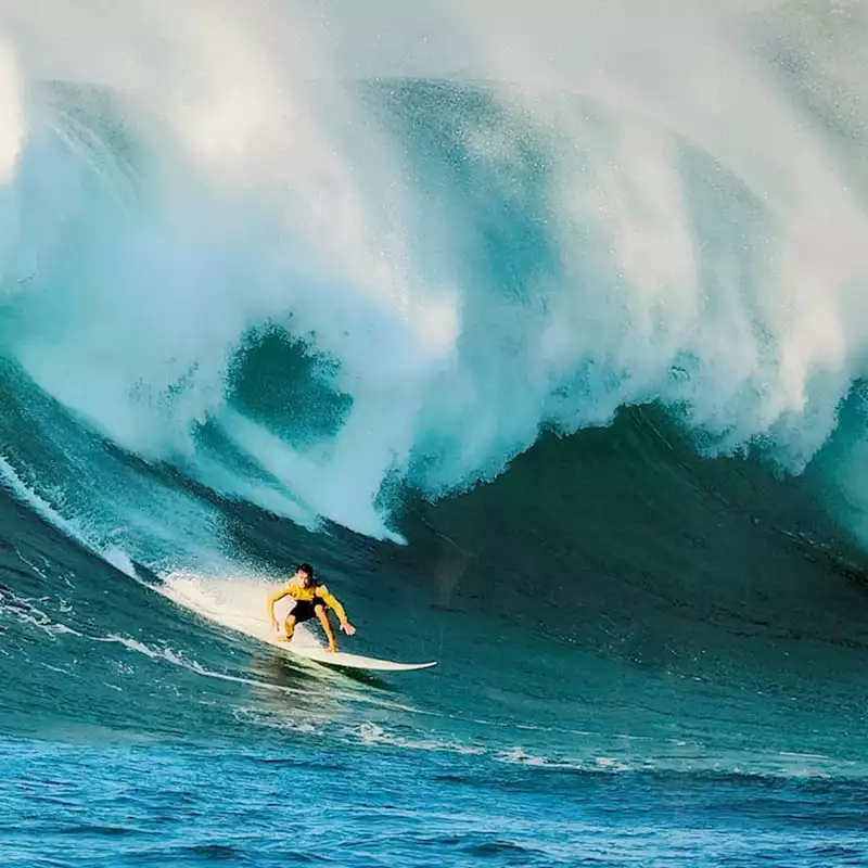 Ty Pennington Glass Framed Surfer Print Wall Art, 36x24 4 Ty Pennington Glass Framed Surfer Print Wall Art, 36x24 - Image 2