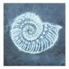 Ty Pennington Navy Blue Seashell Canvas Wall Art, 14" -Cosplay Shop ty pennington navy blue seashell canvas wall art 14